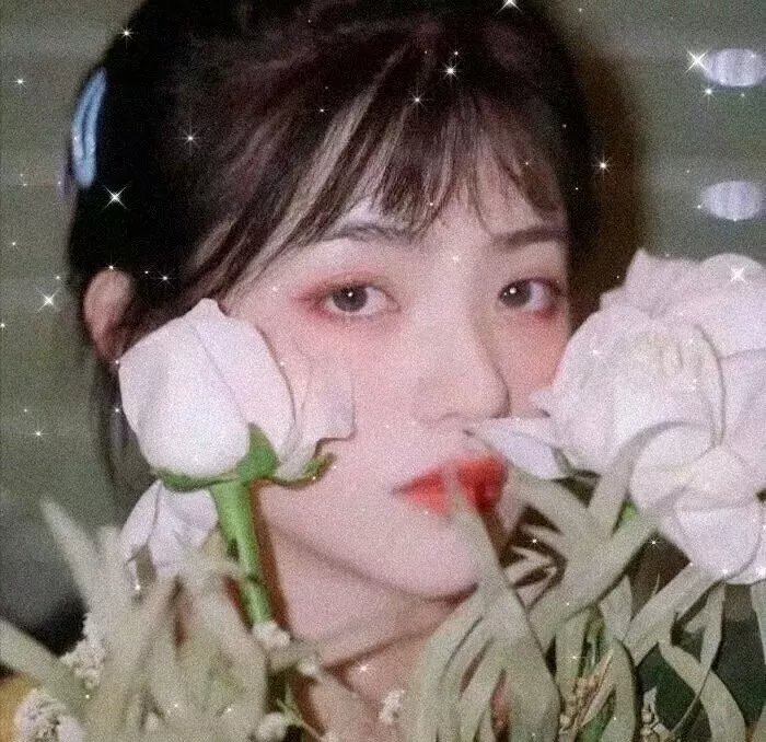 伯爵与妖精
